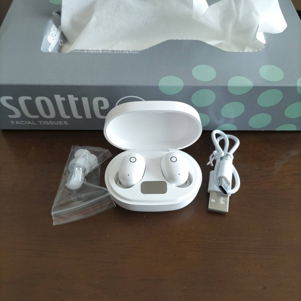 購入したBluetoothイヤホンの写真画像